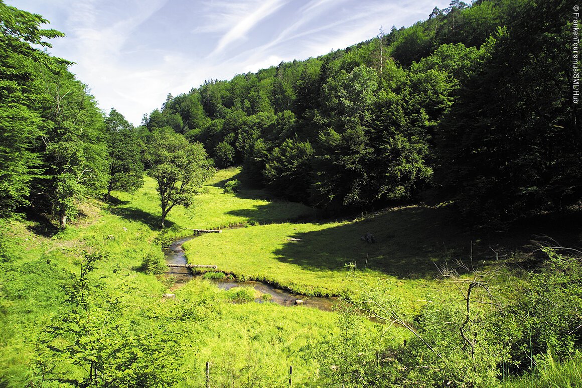 Natur pur (bei Weibersbrunn, Spessart-Mainland)