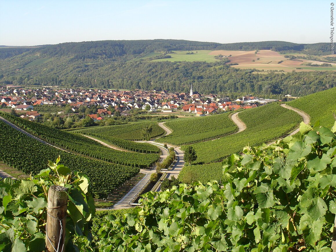 Ortsansicht mit Weinbergen (Thüngersheim, Fränkisches Weinland)