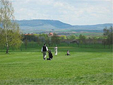 kitzingen_golf_001_b.jpg
