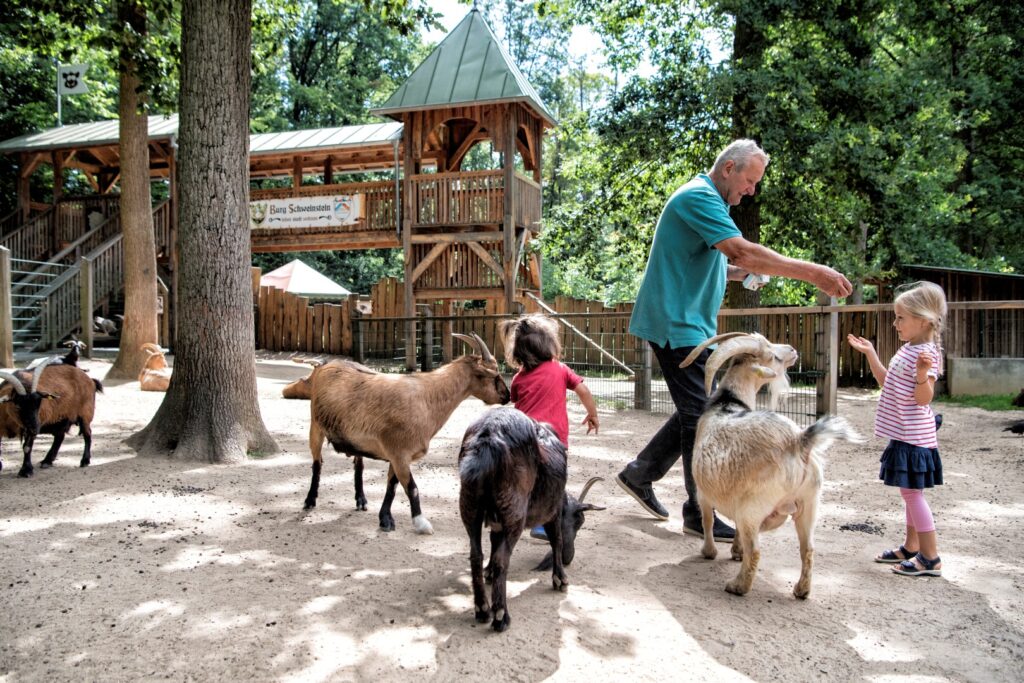 Im Wildpark an den Eichen in Schweinfurt