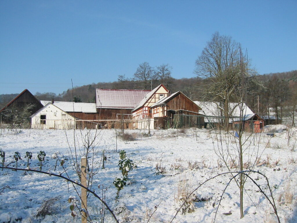 Leicht verschneiter Bauernhof. umgeben von winterlichen Bäumen