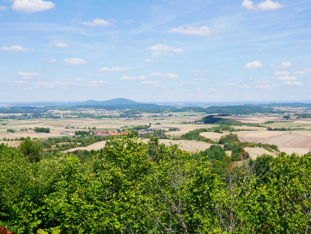 Blick über eine weite, sommerliche Landschaft mit Feldern und Bäumen