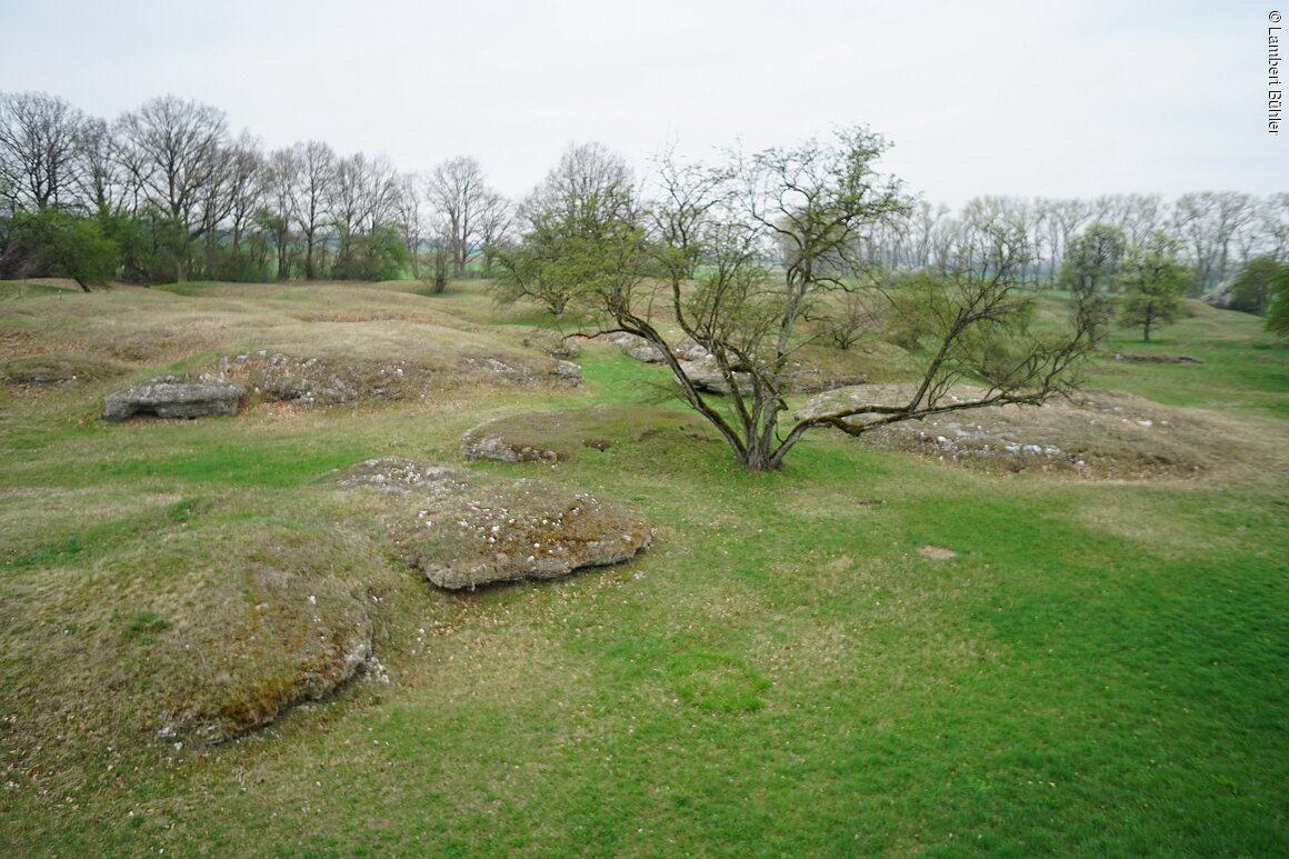 Gipshügel (Sulzheim, Steigerwald)