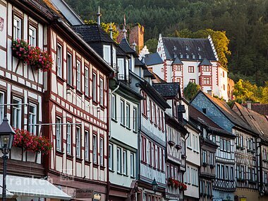 Fachwerk und Mildenburg (Miltenberg/Spessart-Mainland)