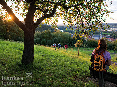 Eltmann Tourismusverband Franken