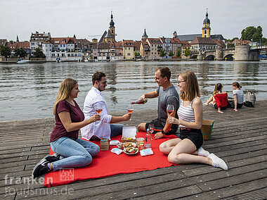 Picknick am Main (Kitzingen/Fränkisches Weinland)