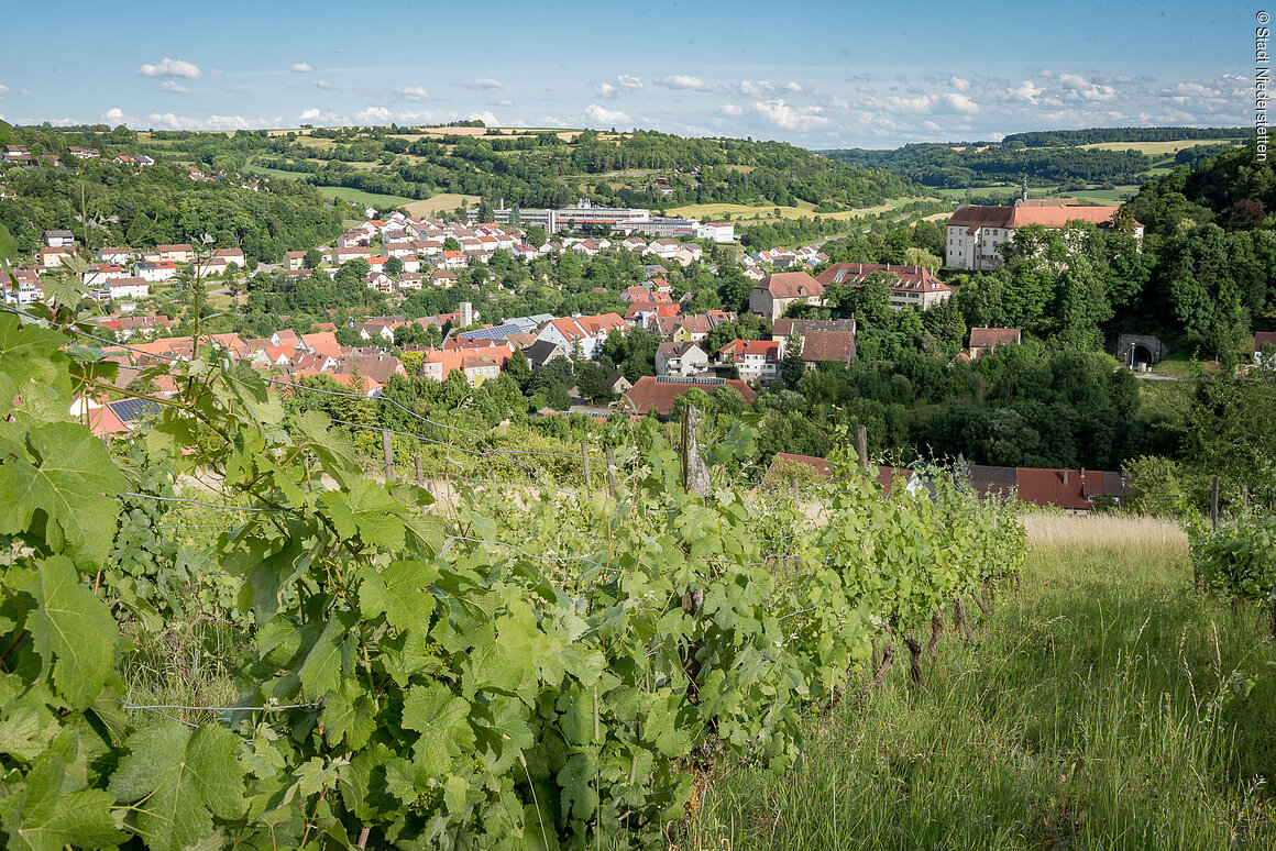 Stadtansicht (Niederstetten, Liebliches Taubertal)