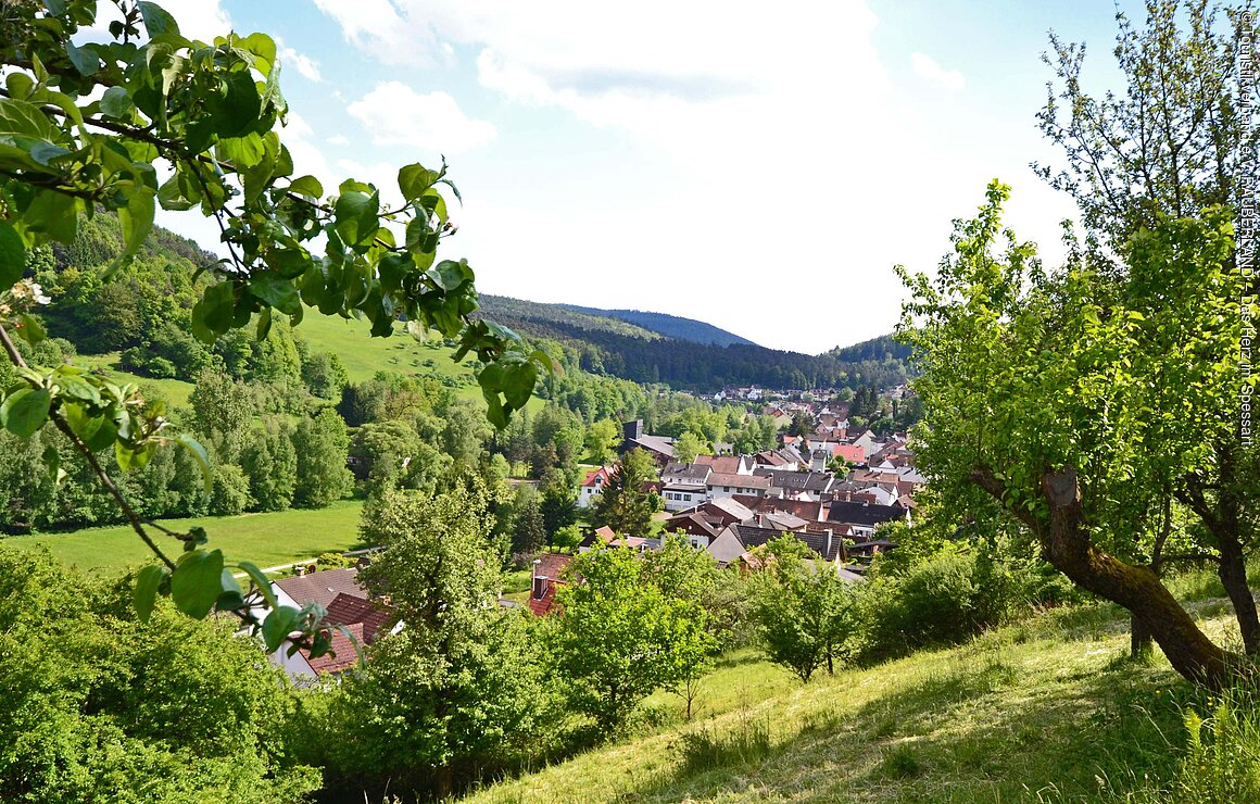 Blick auf den Ort (Heimbuchenthal, Spessart-Mainland)