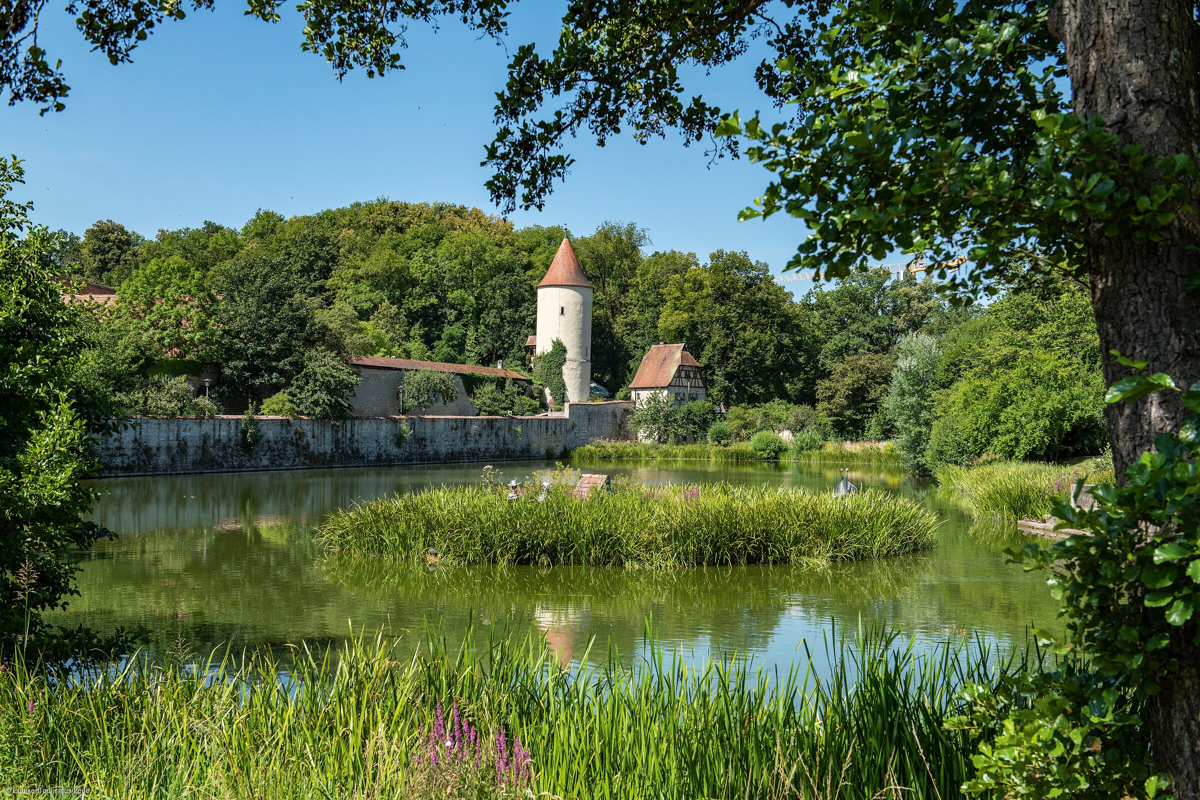 Parkanlage am Rothenburger Weiher (Dinkelsbühl/Romantisches Franken) Parkanlage am Rothenburger Weiher (Dinkelsbühl/Romantisches Franken)