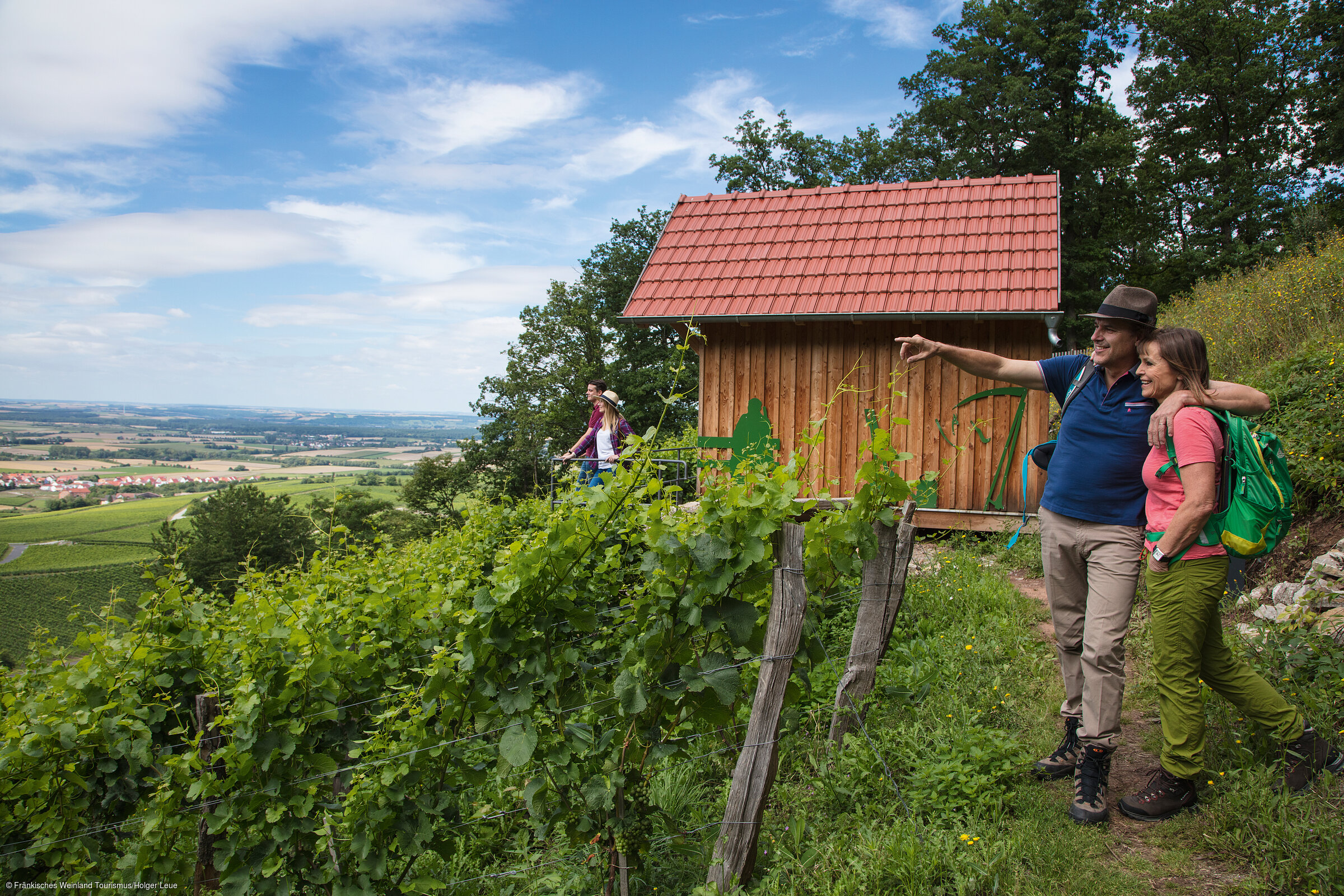 Geschichtsweinberg (Iphofen/Fränkisches Weinland) Geschichtsweinberg (Iphofen/Fränkisches Weinland)