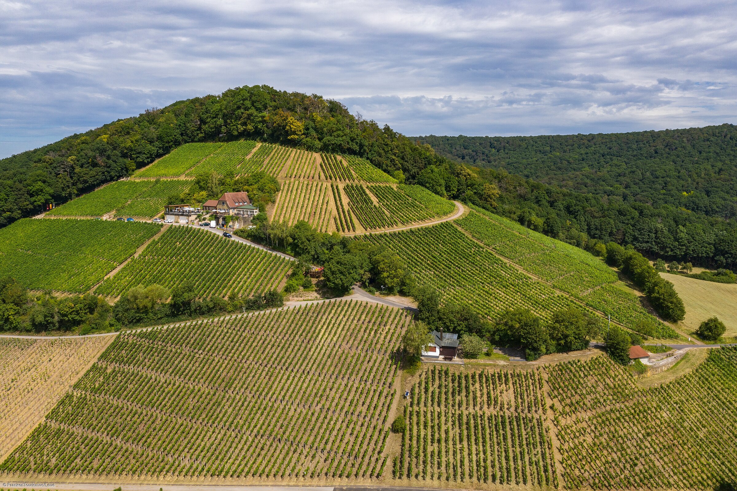 terroir-f Oberschwarzach-Handthal (Oberschwarzach/Steigerwald) terroir-f Oberschwarzach-Handthal (Oberschwarzach/Steigerwald)