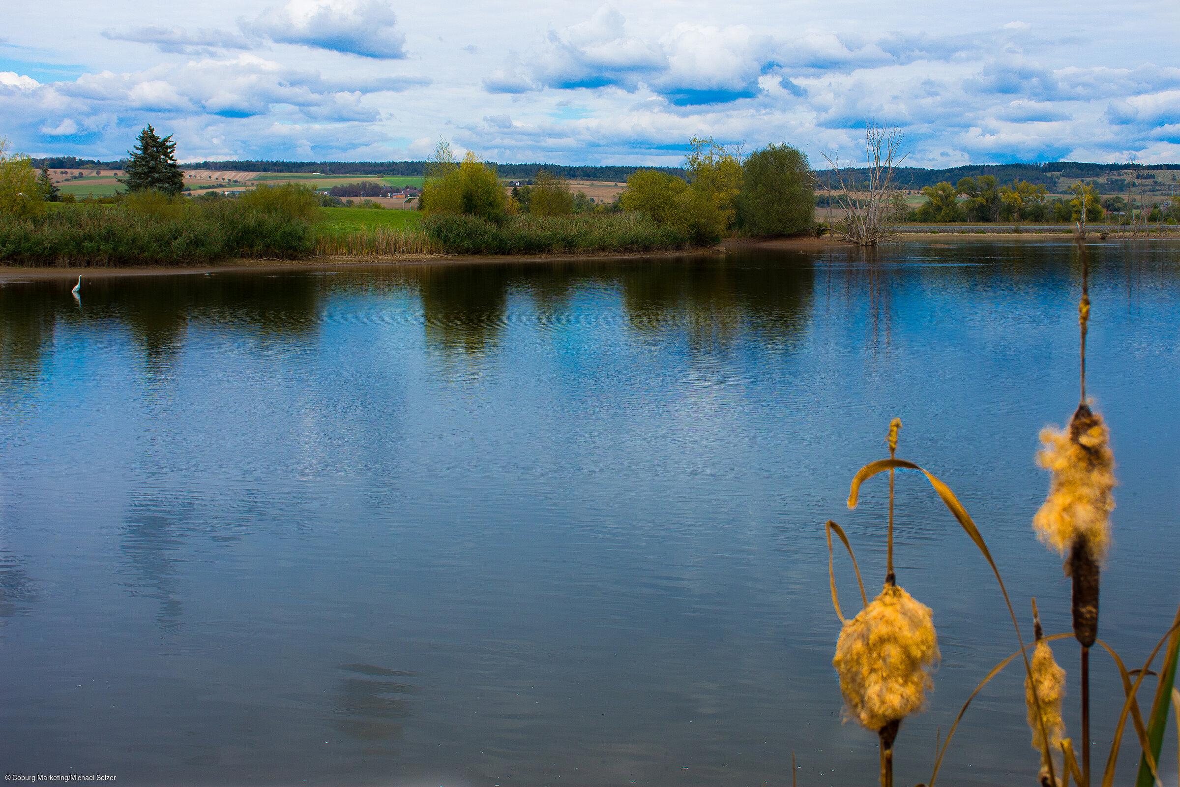 Goldbergsee (Coburg, Coburg.Rennsteig)