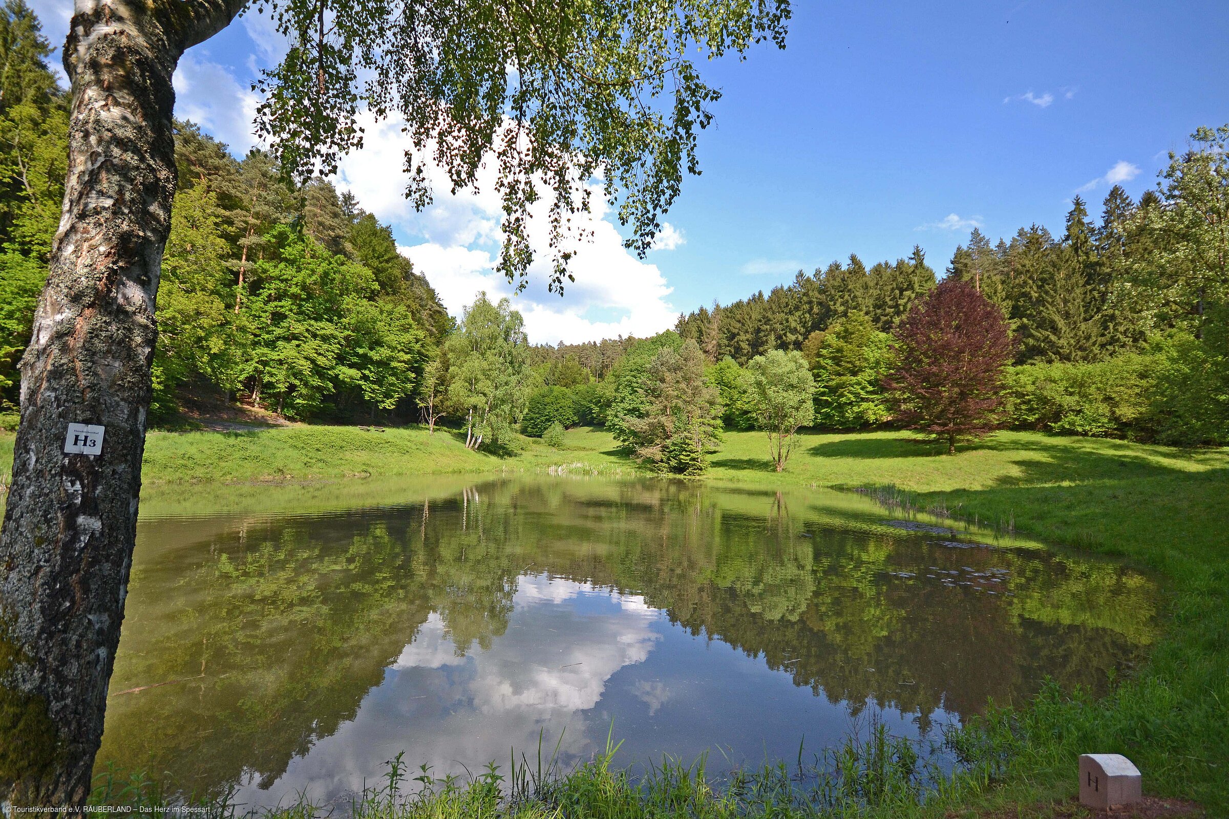 Waldsee (Heimbuchenthal, Spessart-Mainland) Waldsee (Heimbuchenthal, Spessart-Mainland)