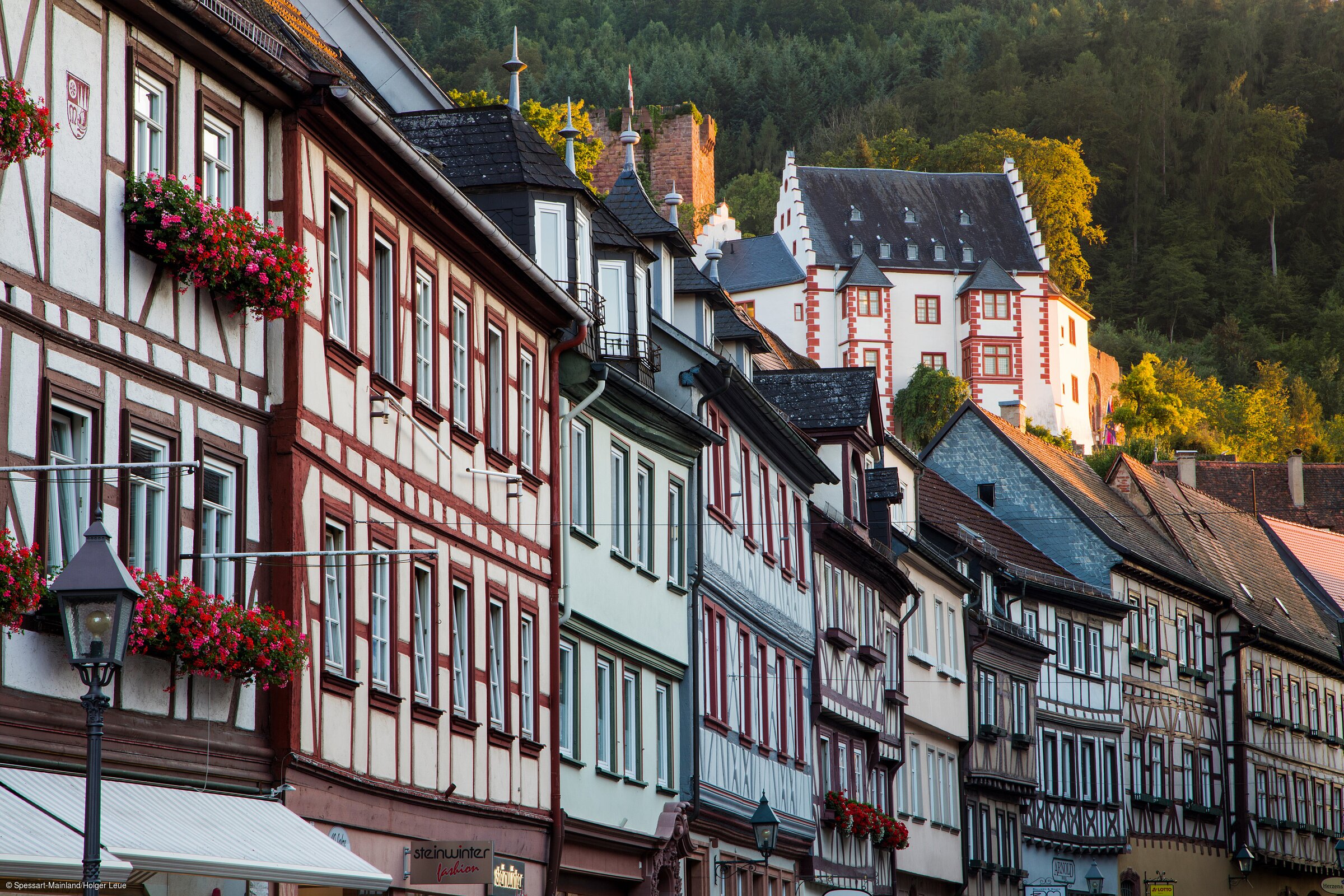 Fachwerk und Mildenburg (Miltenberg/Spessart-Mainland)