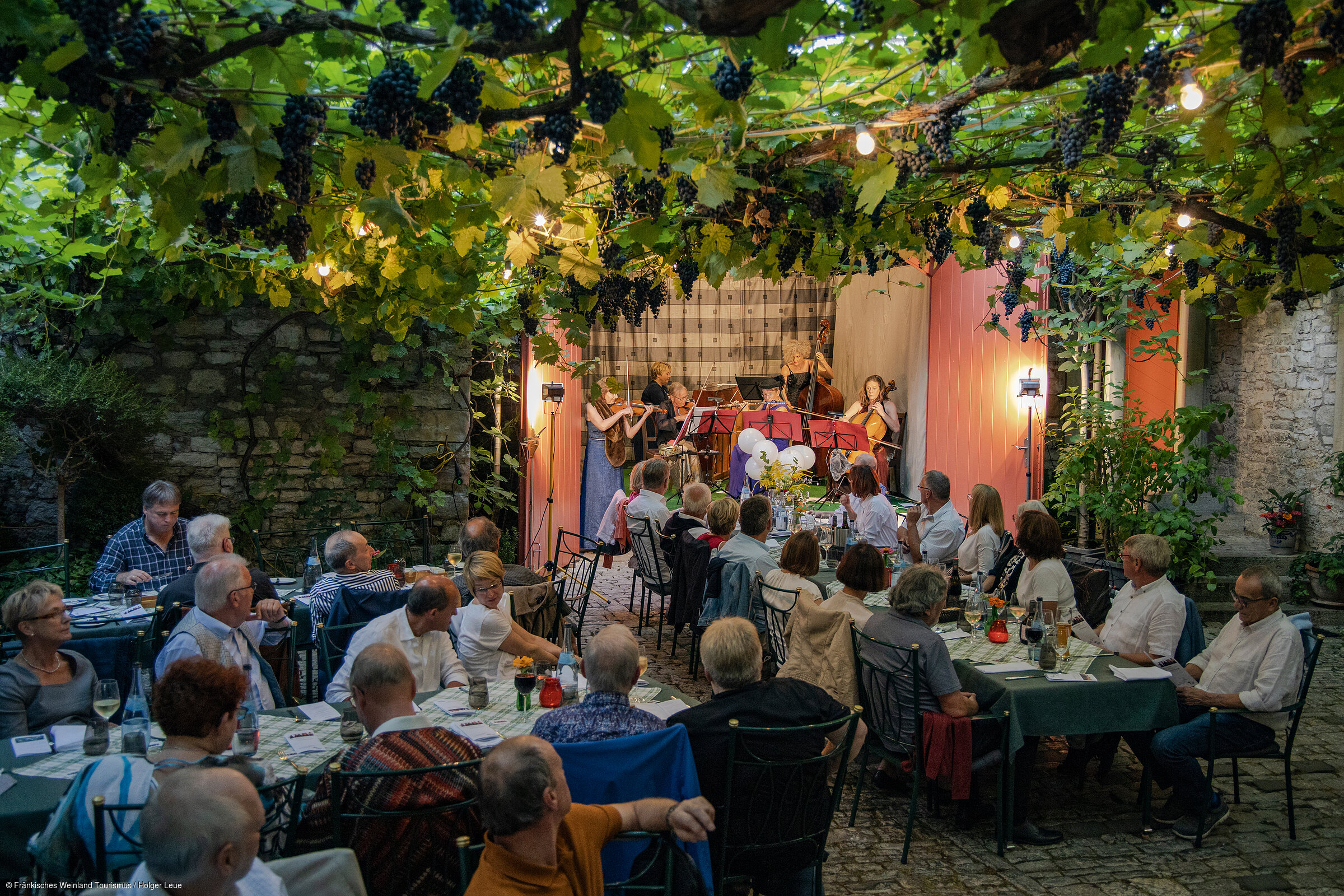 Weingenuss im Weingut Glaser-Himmelstoß (Dettelbach/Fränkisches Weinland) Weingenuss im Weingut Glaser-Himmelstoß (Dettelbach/Fränkisches Weinland)