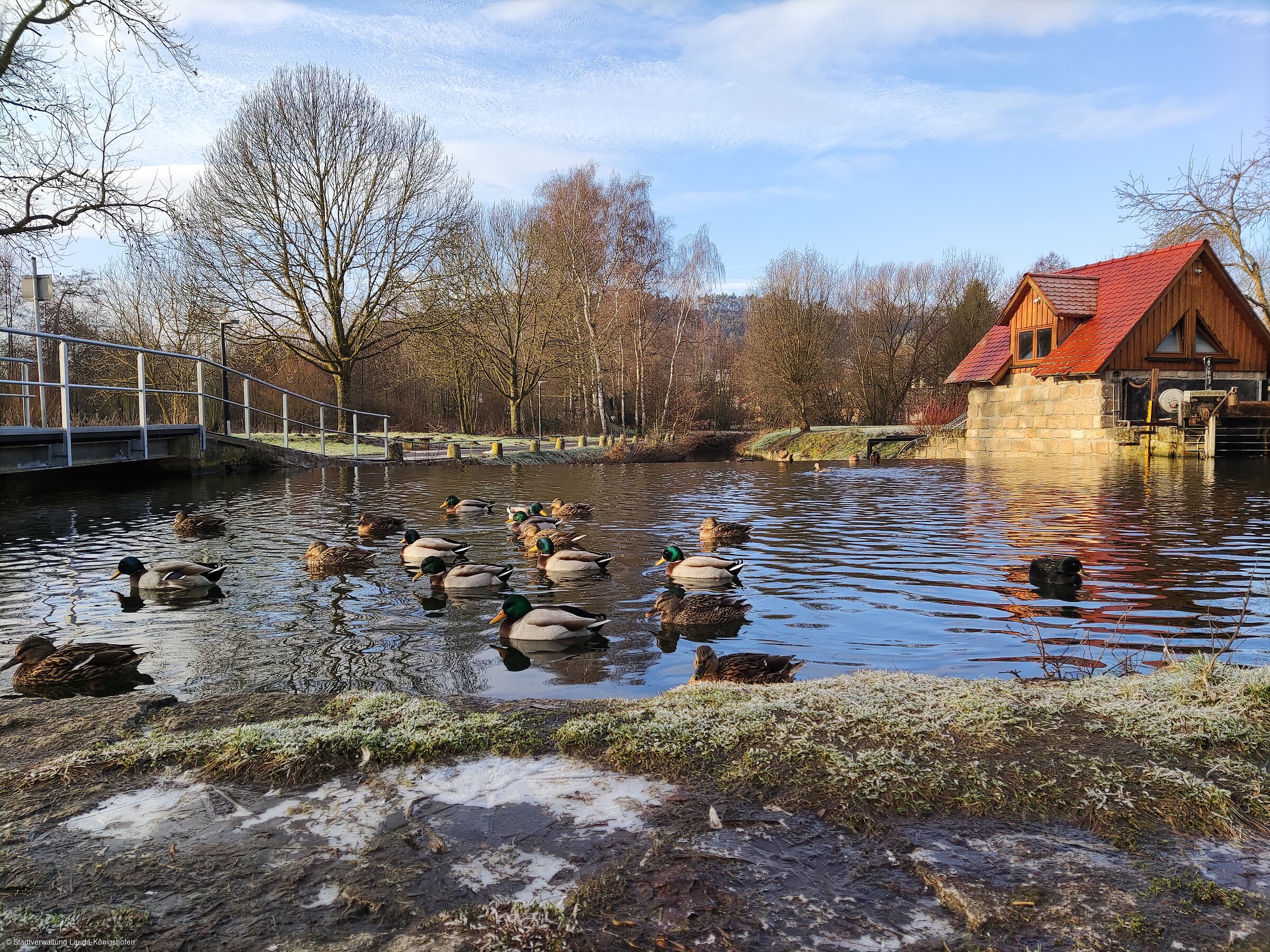 Königshofen (Lauda-Königshofen, Liebliches Taubertal)