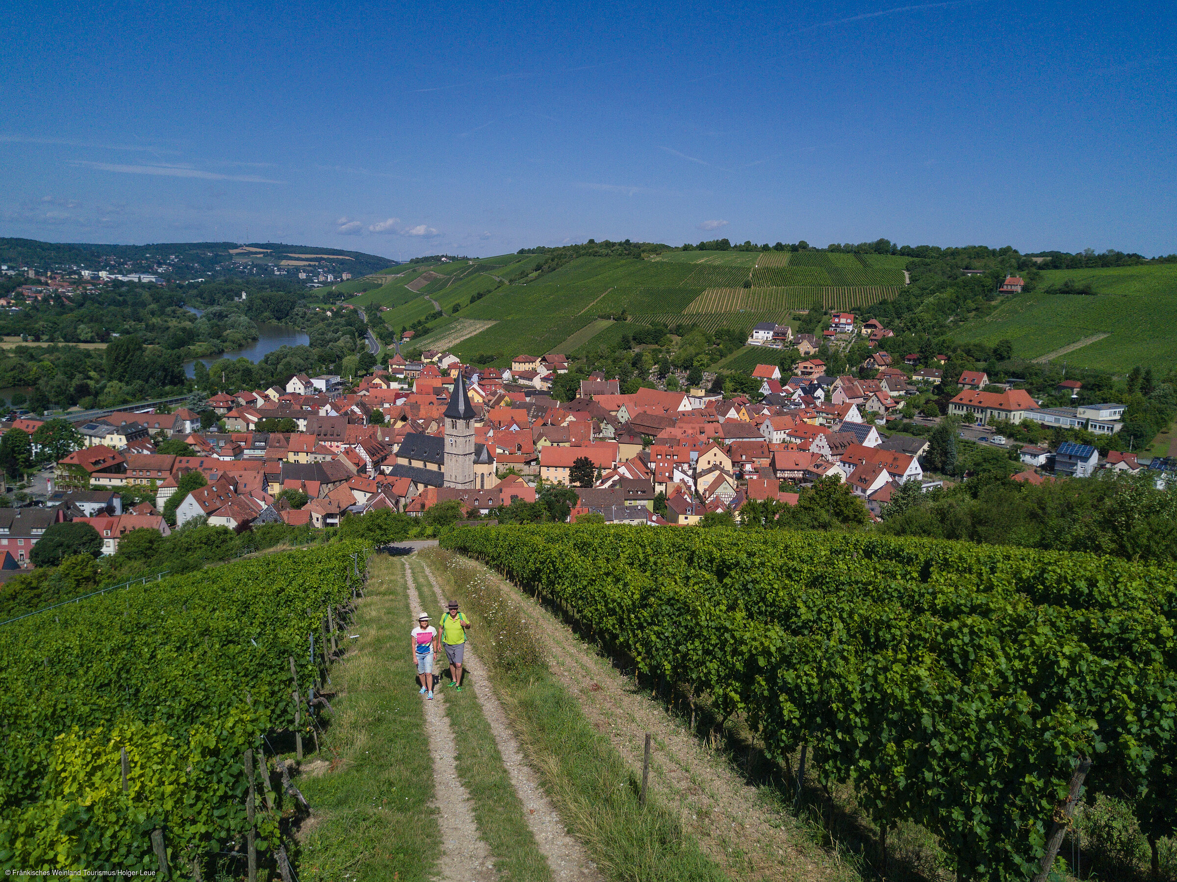 Randersacker von oben (Randersacker/Fränkisches Weinland)