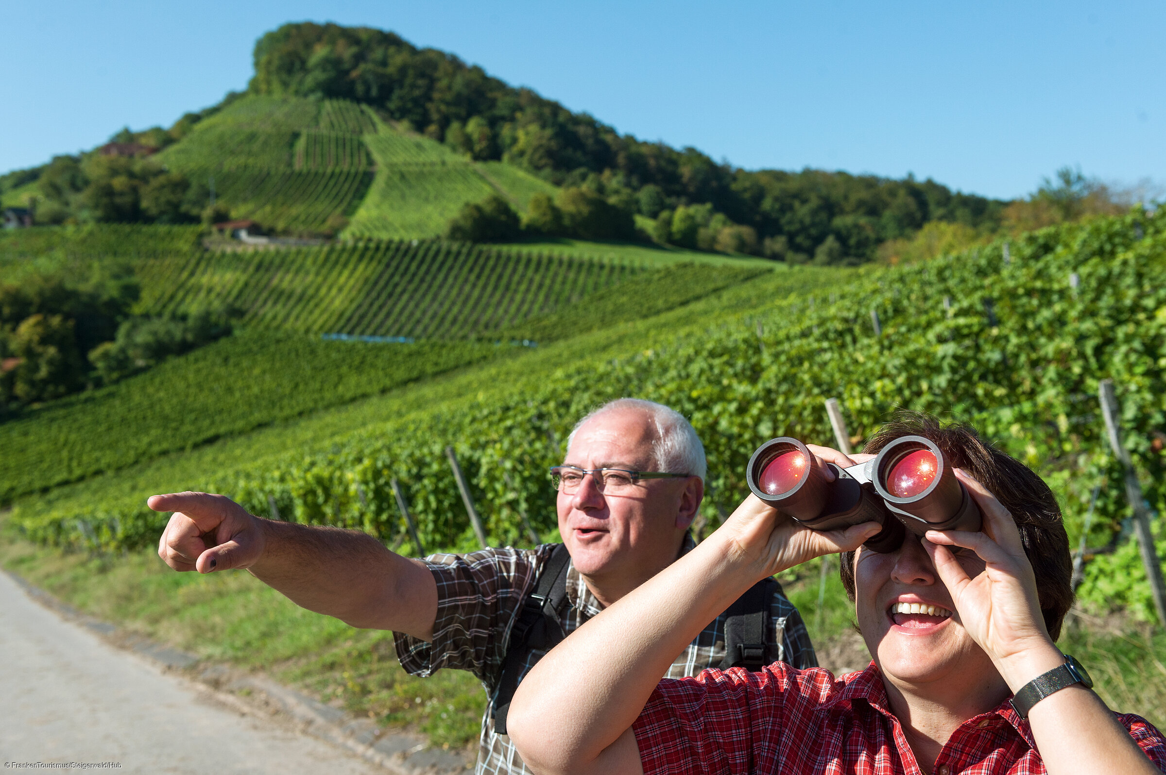 Am Kelten-Erlebnisweg im Handthal (Oberschwarzach/Steigerwald) Am Kelten-Erlebnisweg im Handthal (Oberschwarzach/Steigerwald)