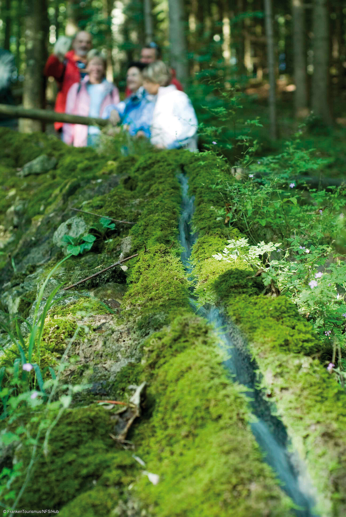 Steinerne Rinne (Fränkisches Seenland)