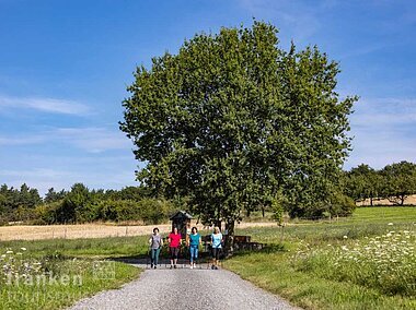 Nordic-Walking (Leidersbach, Spessart-Mainland)
