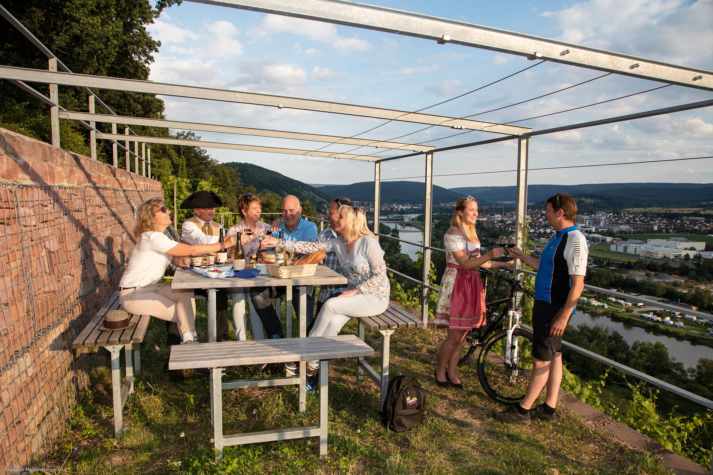 Picknick in den Weinbergen (Spessart-Mainland)