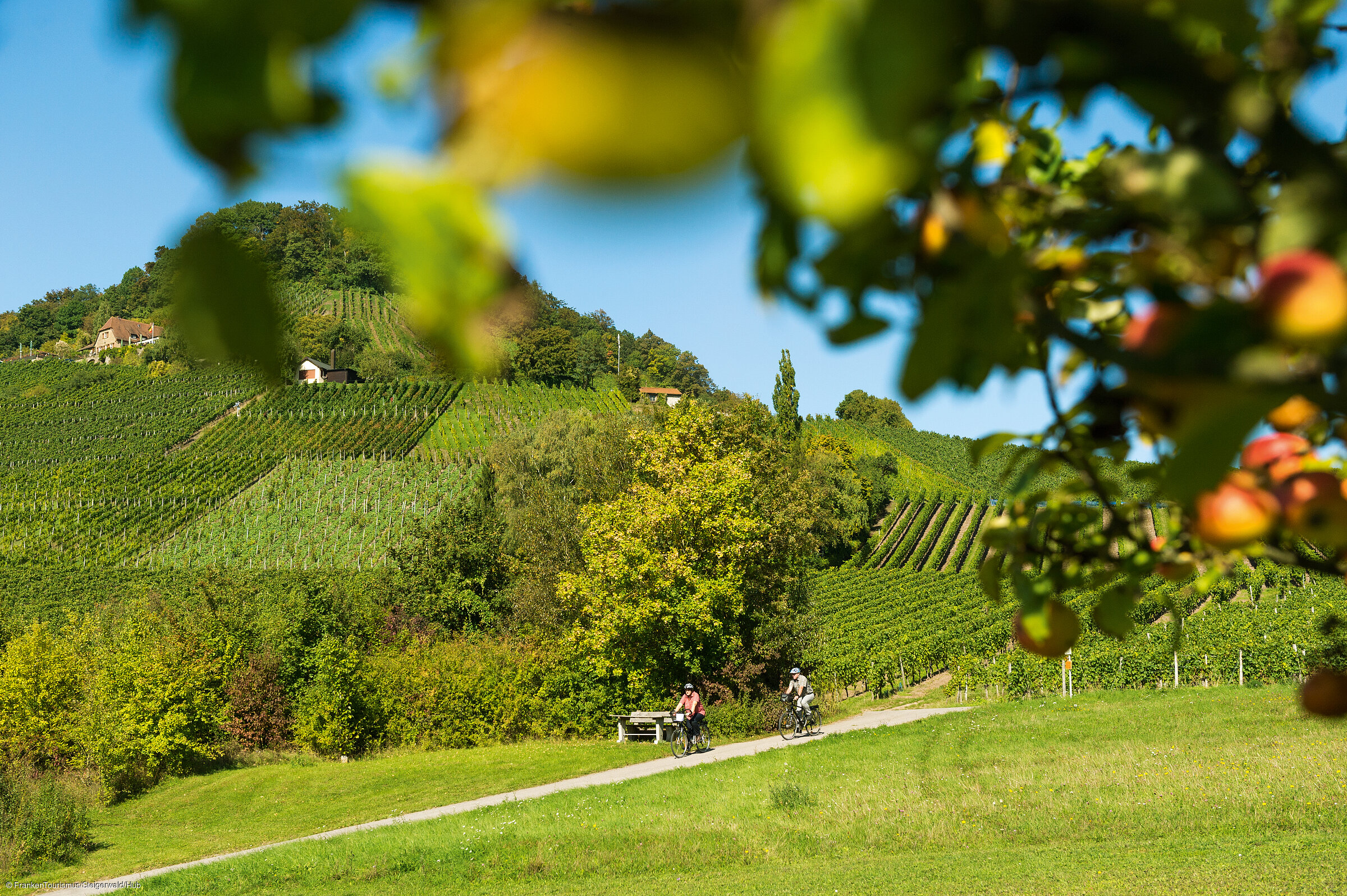 Radeln im Handthal (Oberschwarzach/Steigerwald) Radeln im Handthal (Oberschwarzach/Steigerwald)