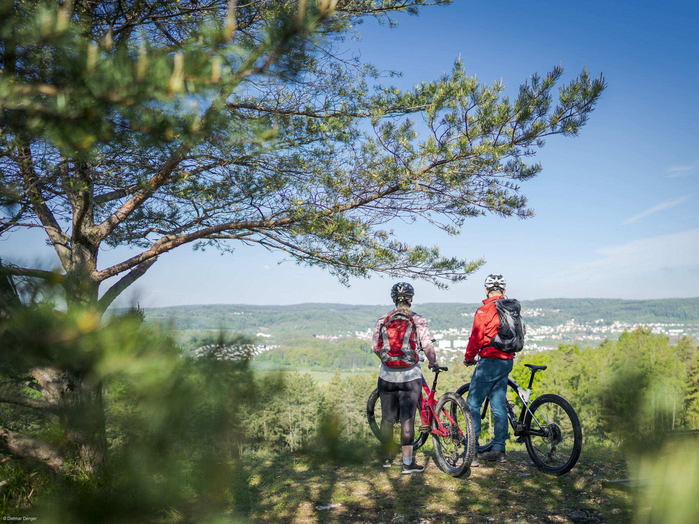 Blick auf die Stadt (Treuchtlingen, Naturpark Altmühltal)