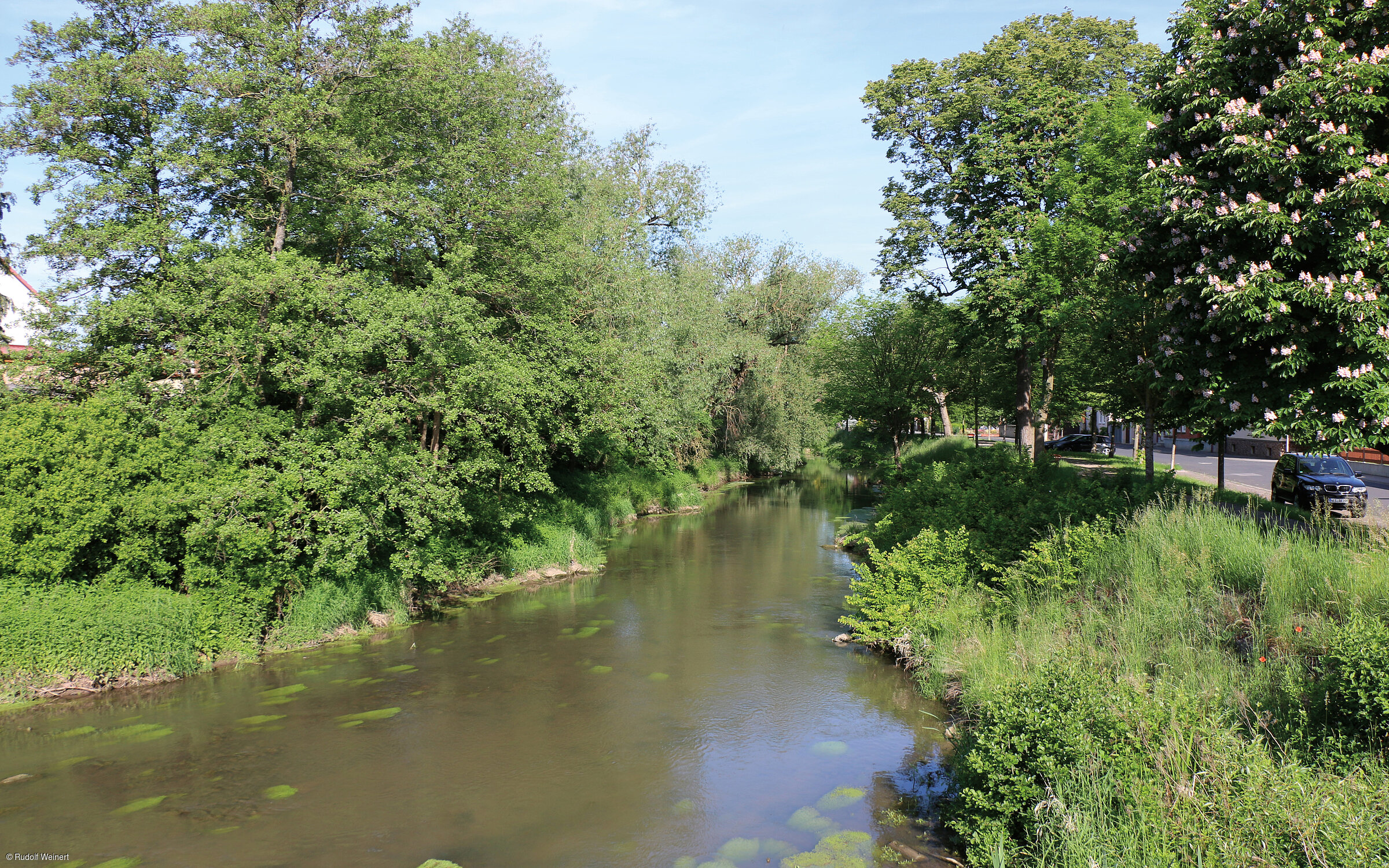 Fränkische Saale (Wülfershausen, Haßberge)