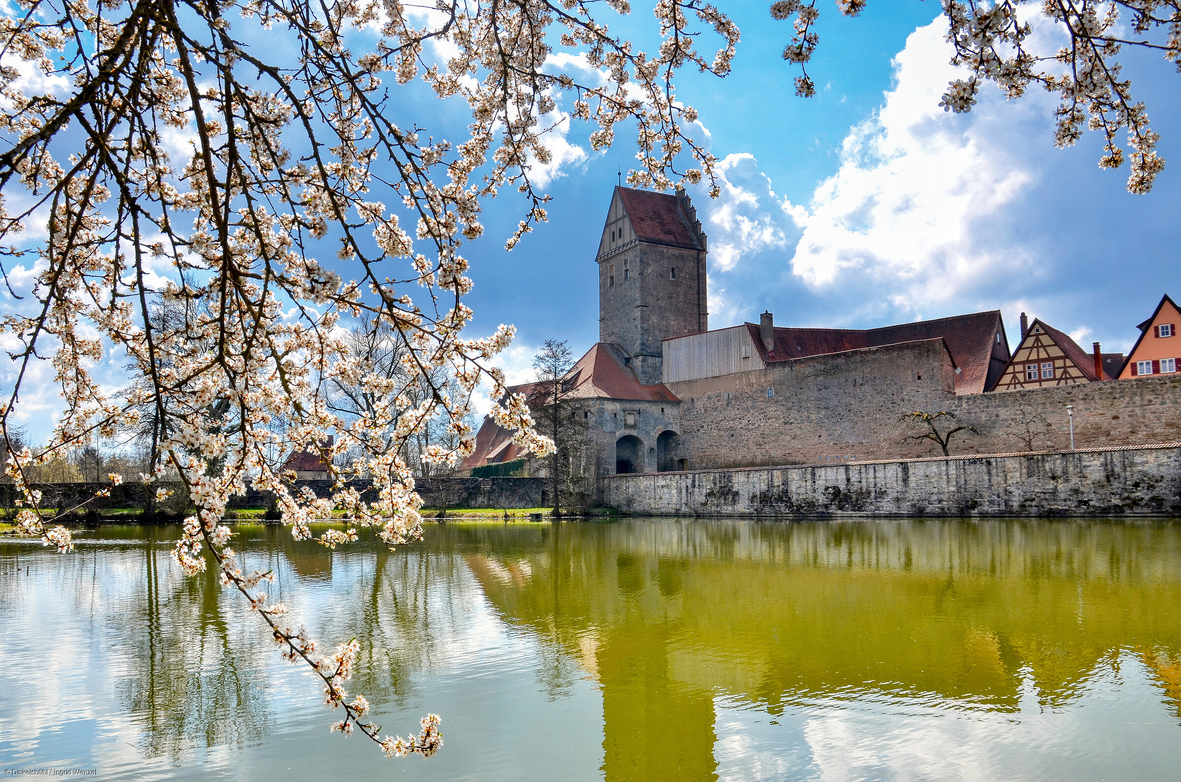 Rothenburger Weiher mit Rothenburger Tor (Dinkelsbühl/Romantisches Franken) Rothenburger Weiher mit Rothenburger Tor (Dinkelsbühl/Romantisches Franken)