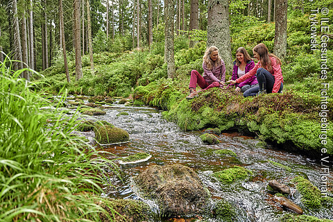 Fichtelgebirge, unterwegs im Naturpark