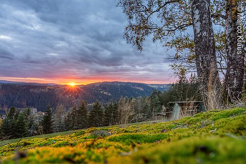 Frankenwald, Draußen. Bei uns.