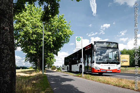 Mit der BAMBERGcard mit dem Bus unterwegs (Bamberg/Steigerwald)