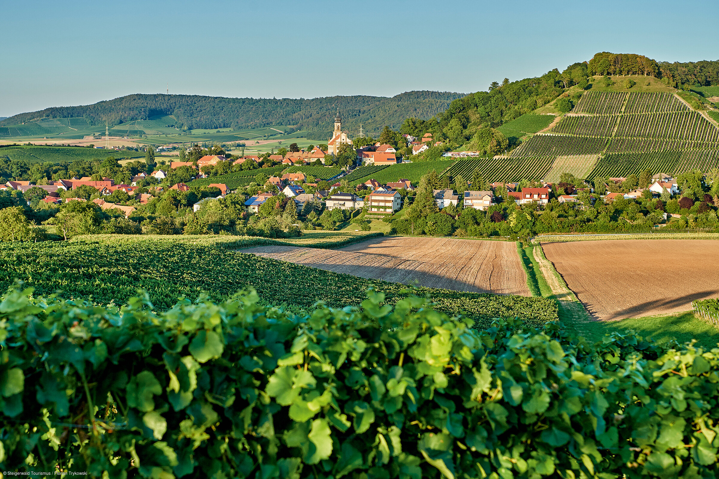 Ausblick auf Castell (Castell/Steigerwald) Ausblick auf Castell (Castell/Steigerwald)