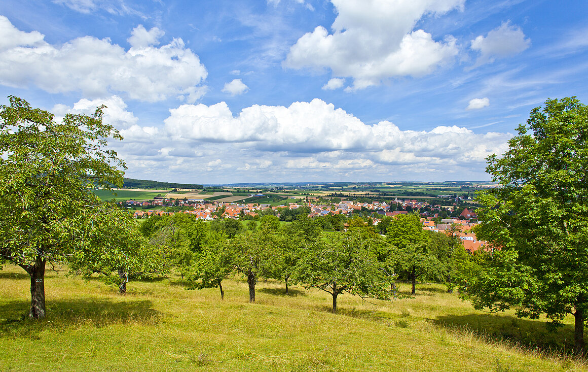 Blick von der Buchleite (Markt Berolzheim, Fränkisches Seenland)