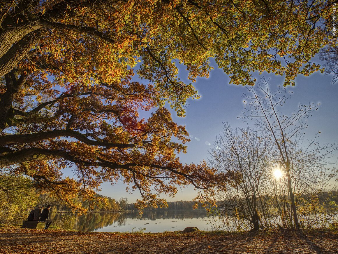 Dechsendorfer Weiher (Erlangen, Städteregion Nürnberg)