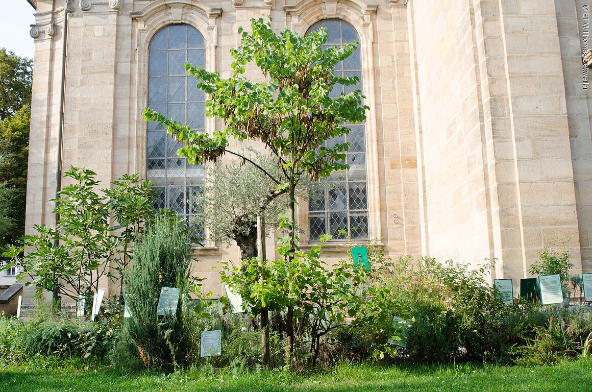 Bibelgarten (Erlangen, Städteregion Nürnberg)