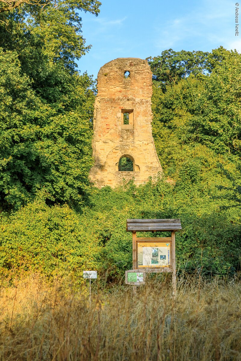 Ruine Speckfeld (Markt Einersheim, Fränkisches Weinland)