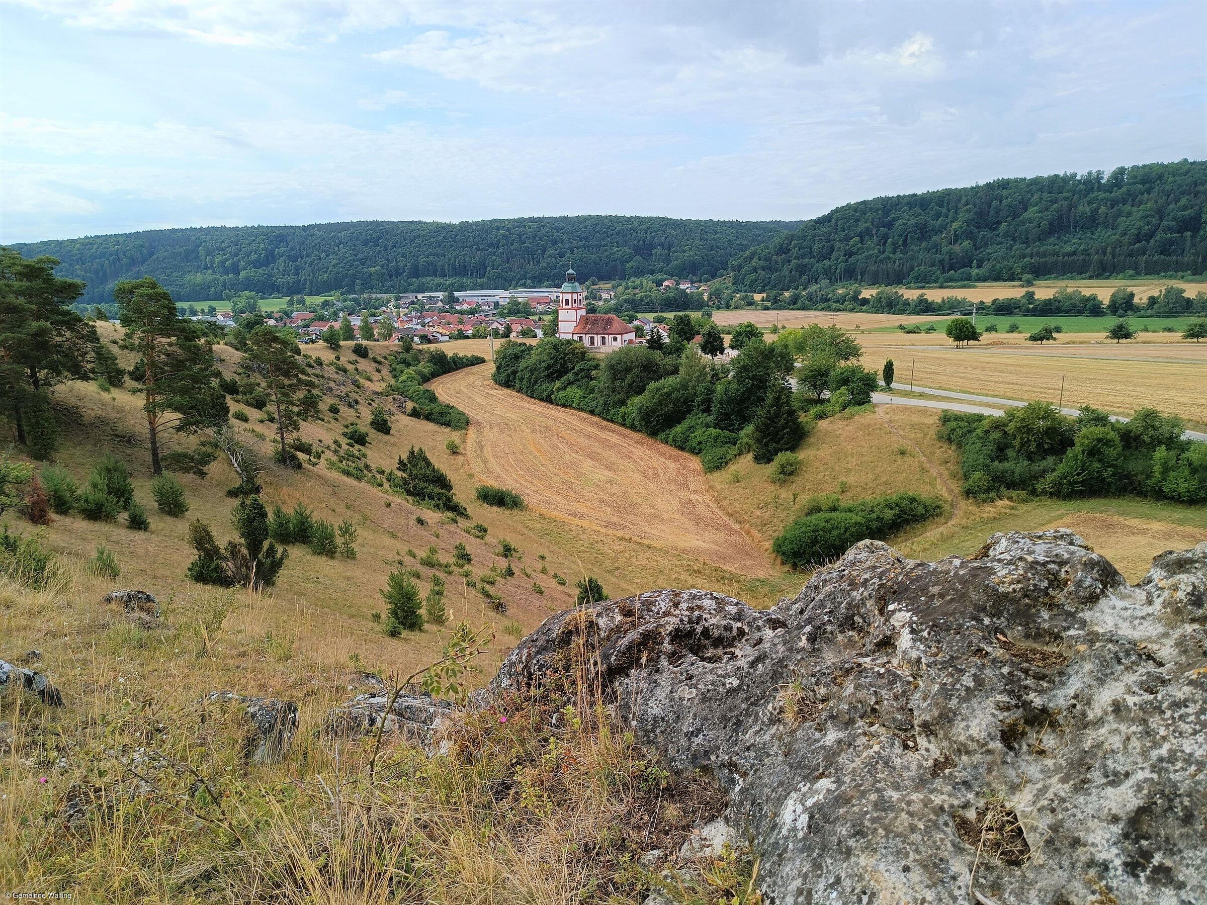 Wacholderheide (Walting-Gungolding, Naturpark Altmühltal)