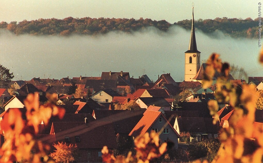 Erleben & Genießen (Sommerach, Fränkisches Weinland)