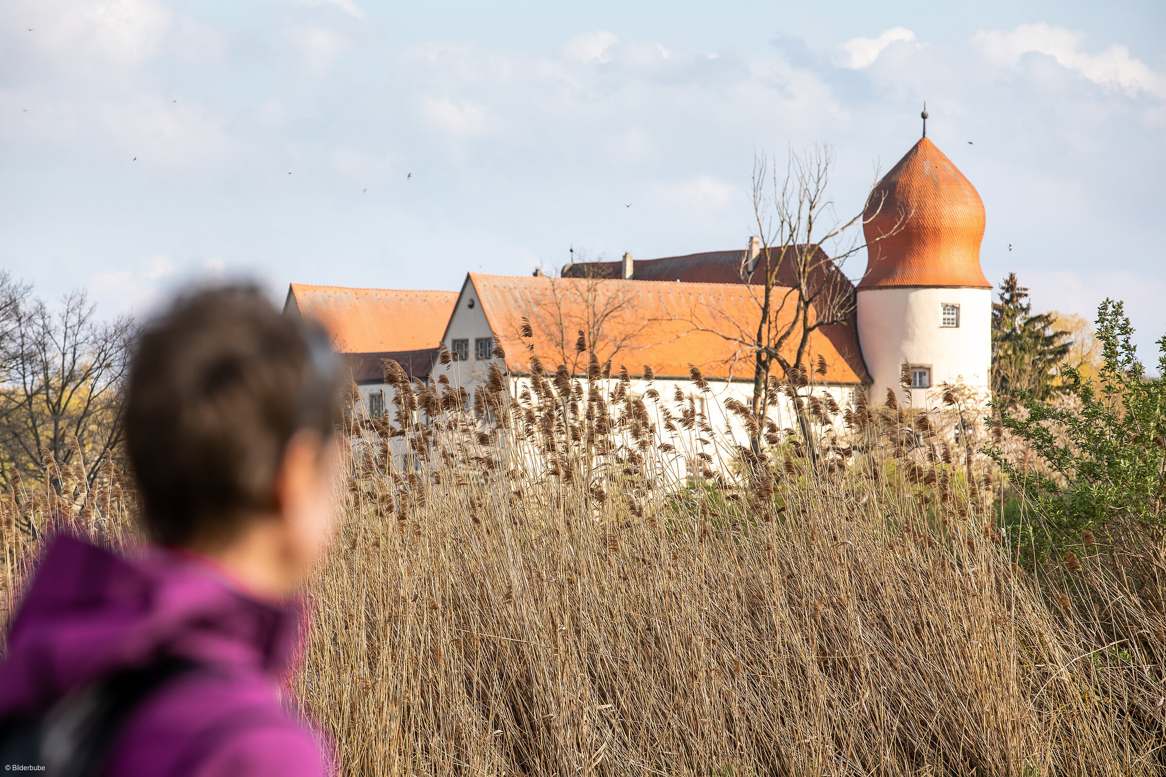 Schloss Neuhaus (Adelsdorf, Steigerwald)