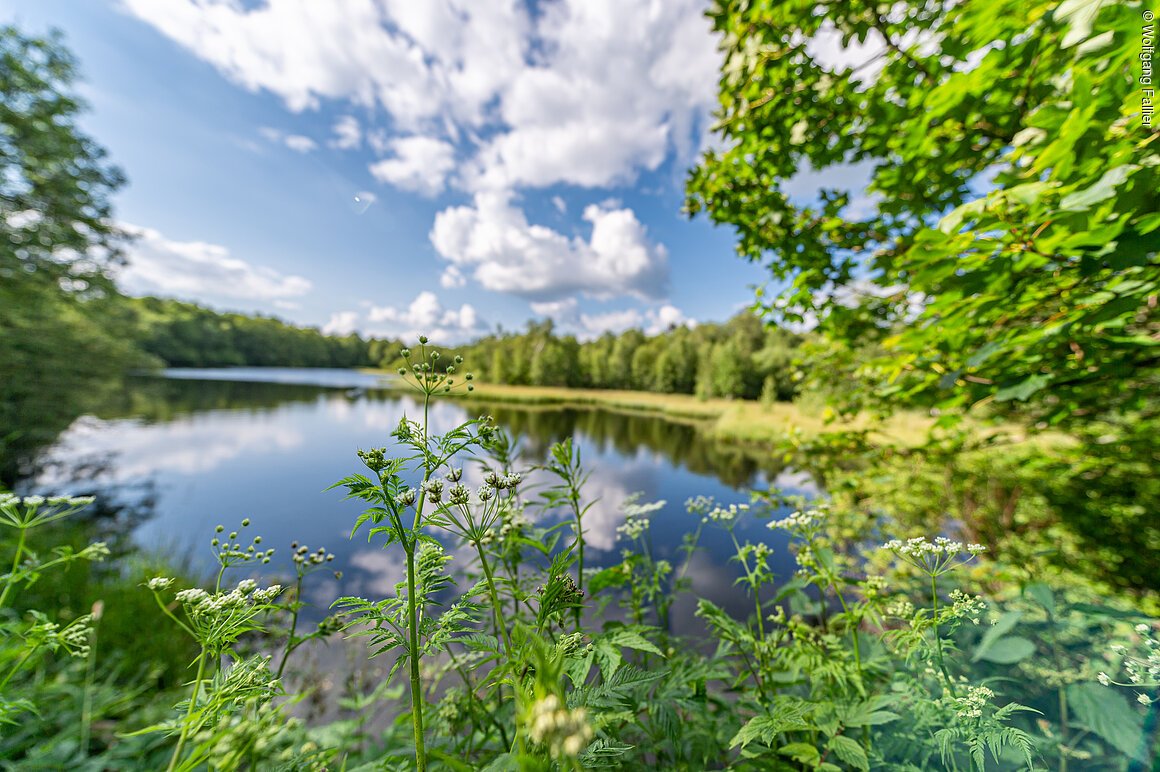 Rotes Moor - Moorsee