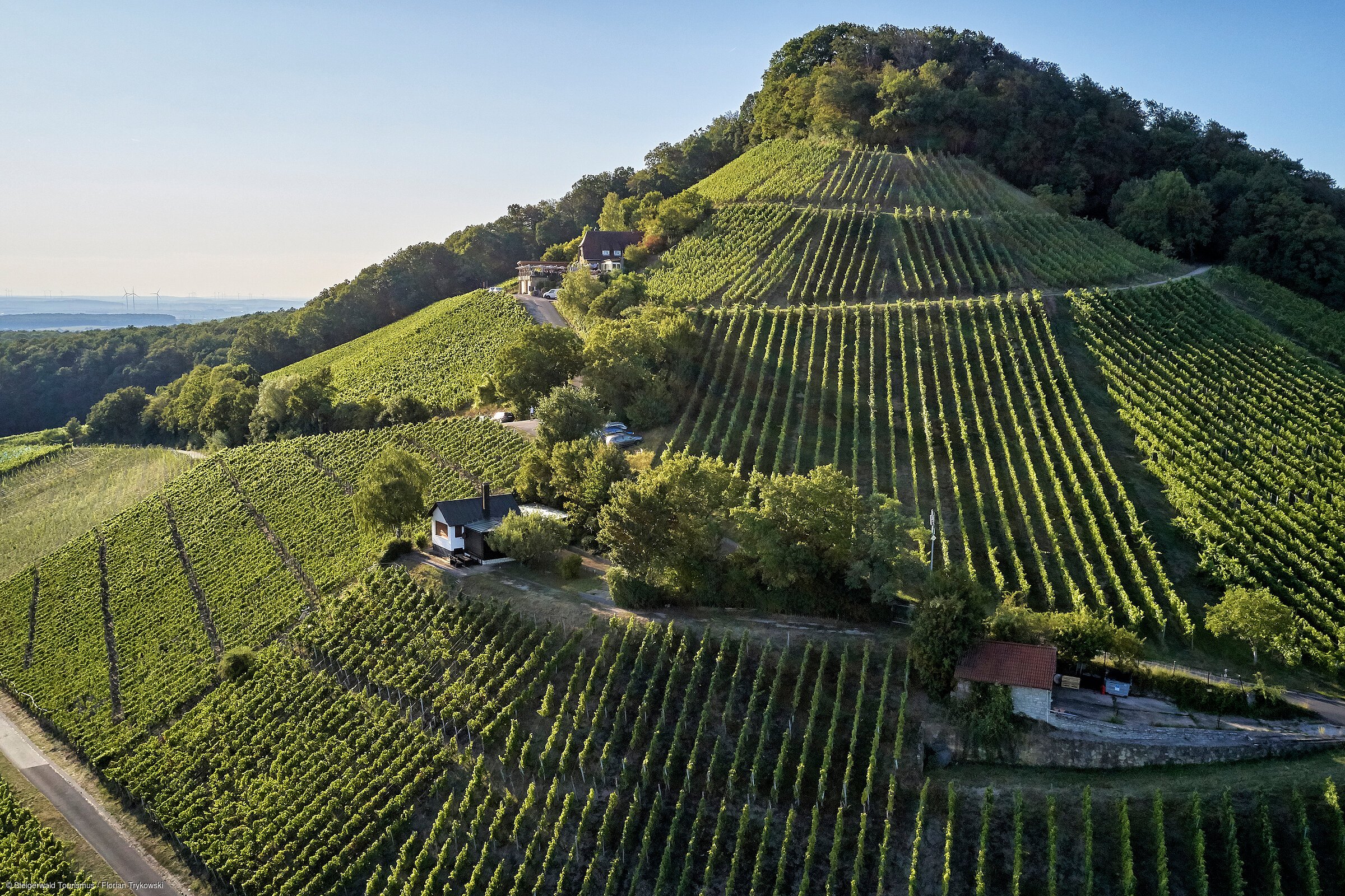 Stollberg (Oberschwarzach, Steigerwald) Stollberg (Oberschwarzach, Steigerwald)