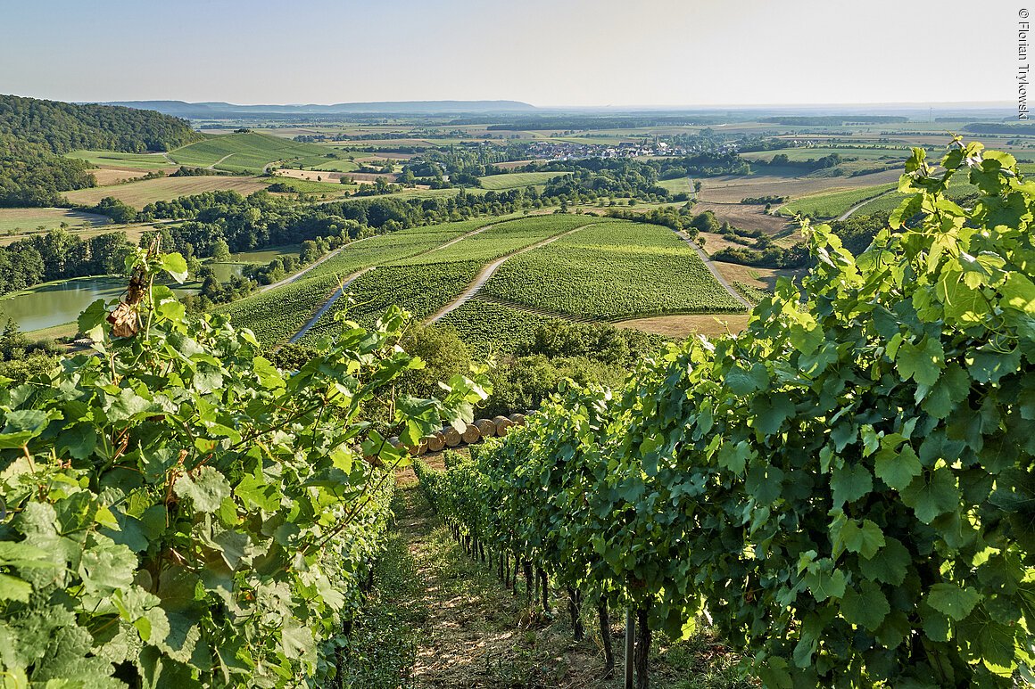 Panoramalandschaft (Oberschwarzach, Steigerwald)