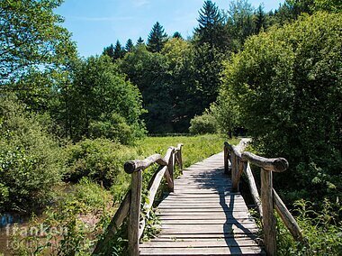 Bohlensteg im Hafenlohrtal (bei Rothenbuch, Spessart-Mainland)