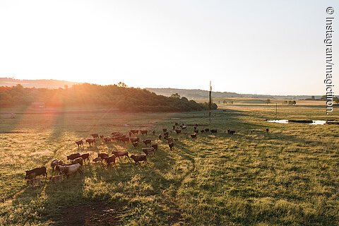 Hutelandschaft Rodachaue