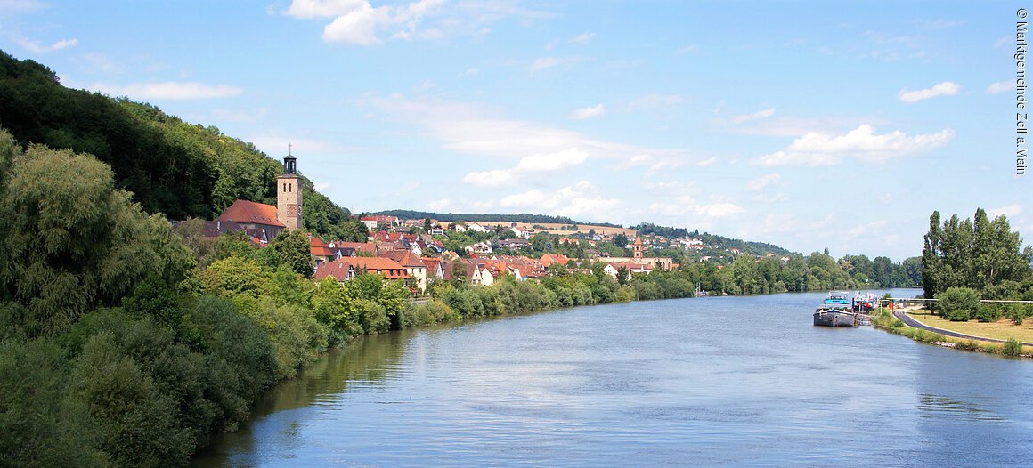 Panoramaansicht (Zell a.Main, Fränkisches Weinland)