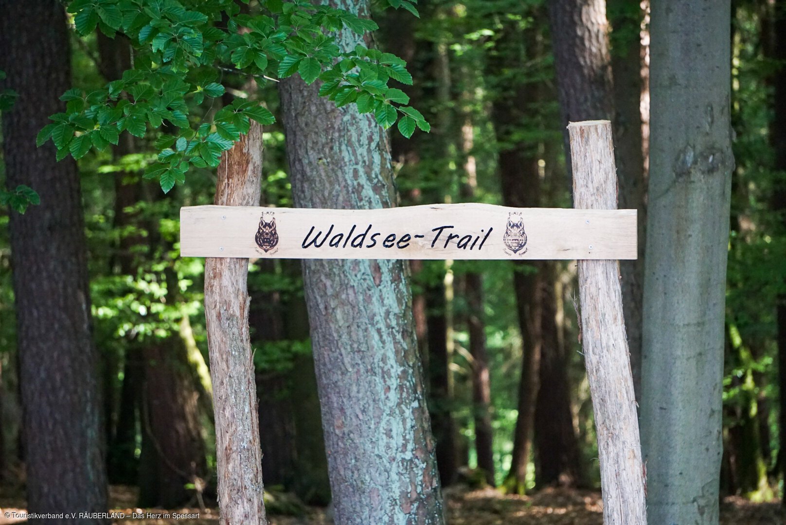 Mountainbike-Trail (Heimbuchenthal, Spessart-Mainland) Mountainbike-Trail (Heimbuchenthal, Spessart-Mainland)