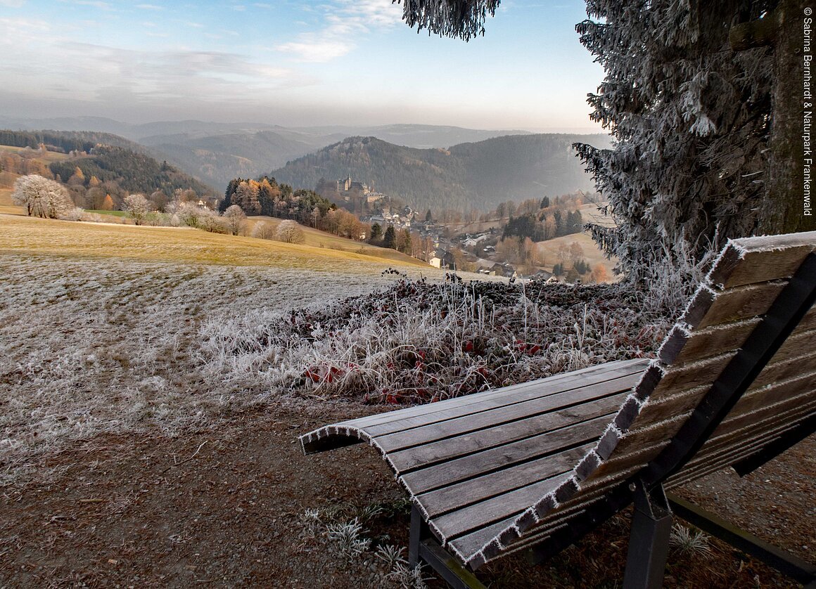 Ausblick auf Burg Lauenstein (Frankenwald)