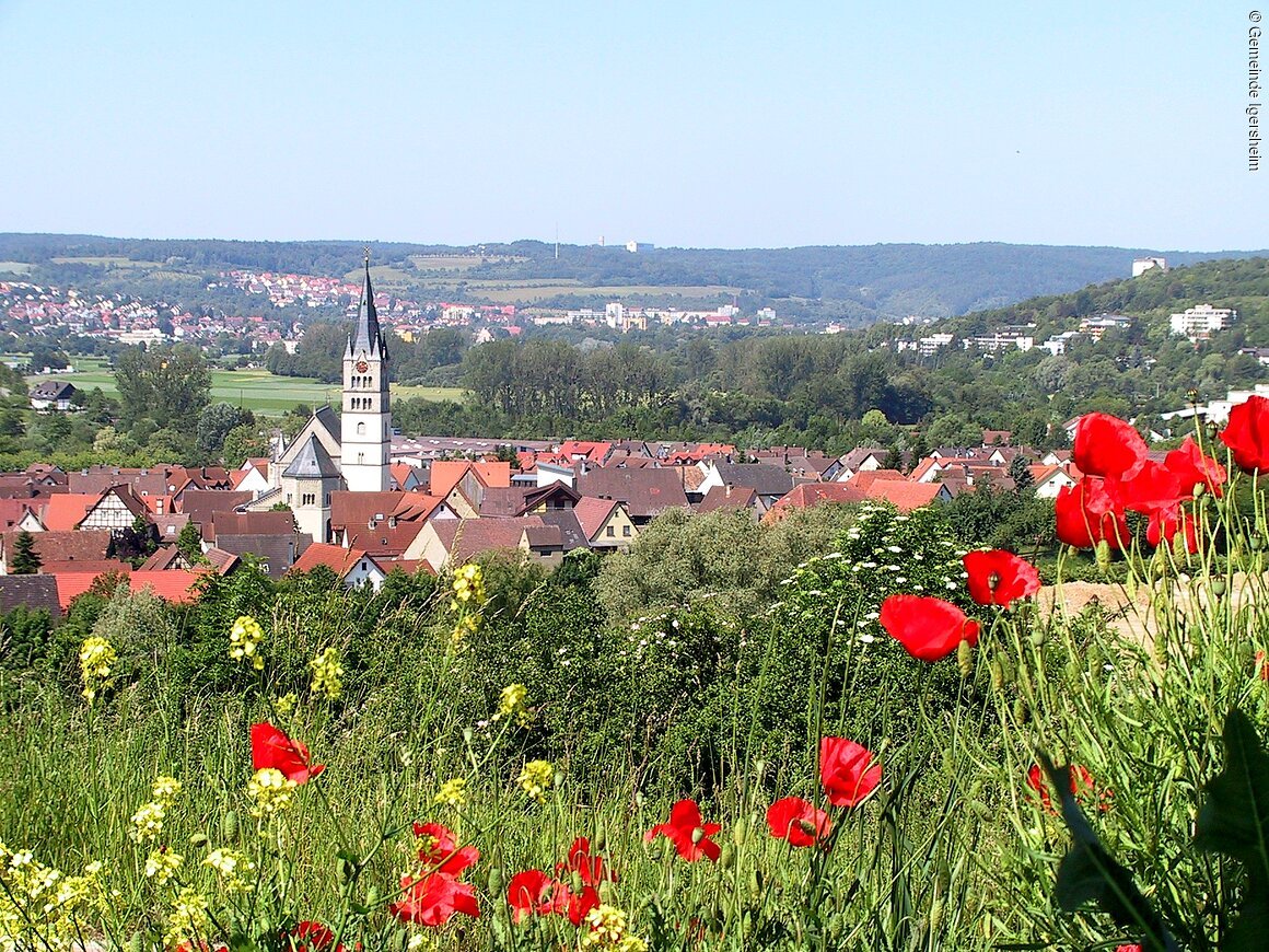 Blick über die Gemiende (Igersheim, Liebliches Taubertal)