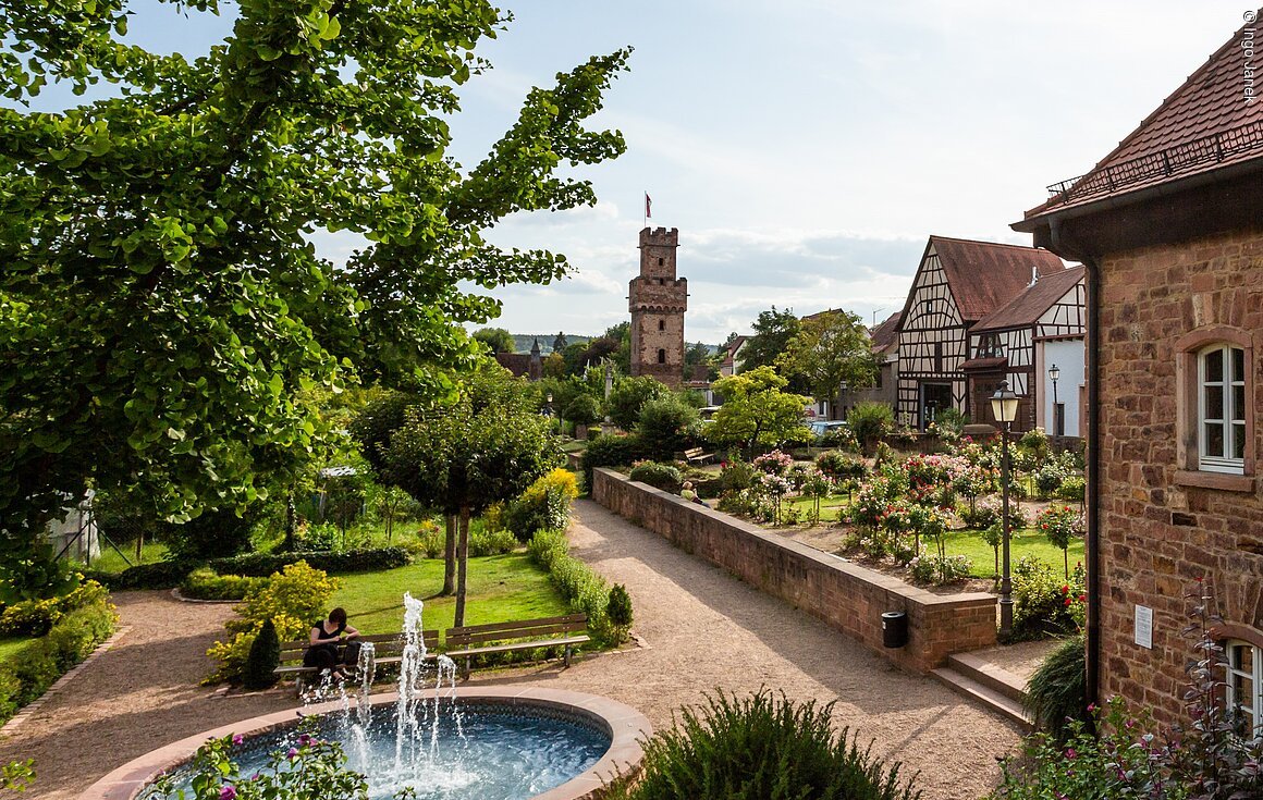 Blick in den Rosengarten (Obernburg a.Main, Spessart-Mainland)